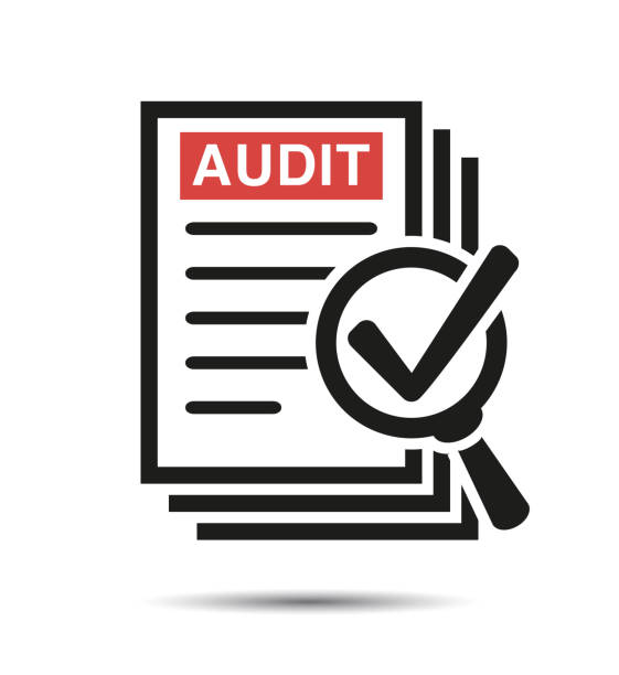 audit icon